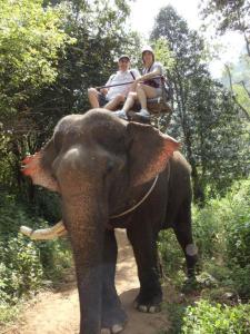 Thailand Elephant jungle ride
